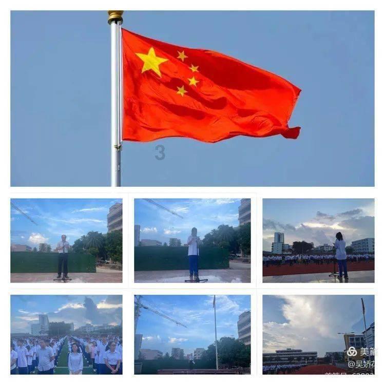 可怜猫的救援